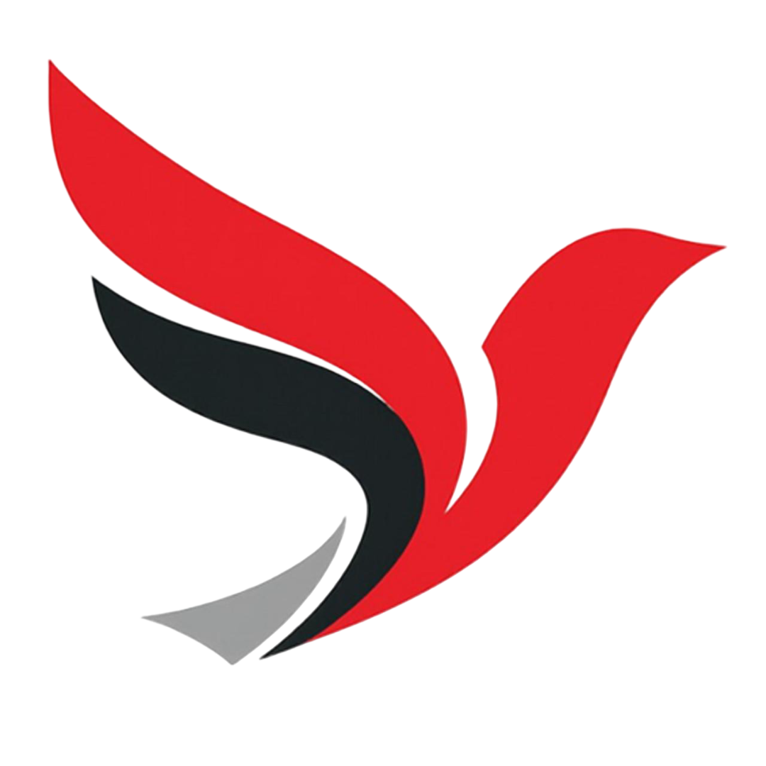 ST Finance Academy logo